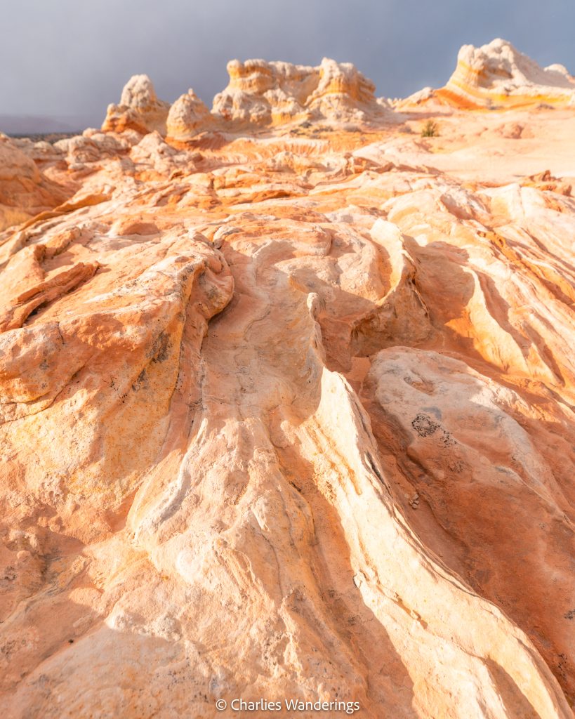 The Ultimate Guide to Visiting White Pocket in Arizona